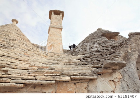 阿爾貝羅貝洛貓 63181407