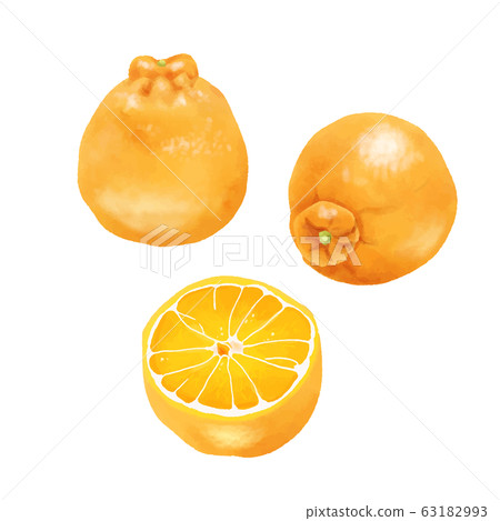 水果水彩 63182993