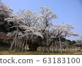 Neneo valley light cherry tree 63183100