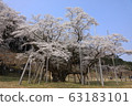 Neneo valley light cherry tree 63183101