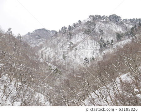 冬天的里山[奈內縣] 63185826