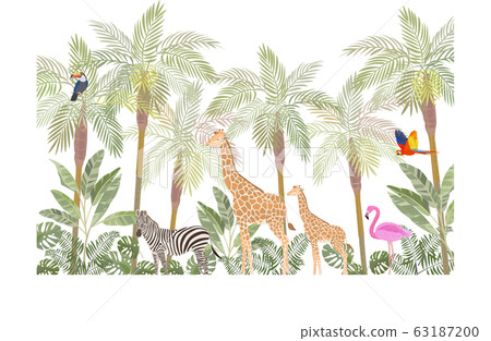 Jungle 63187200