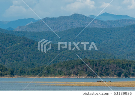 Beautiful scenery picturesque landscape with scenic view of Ramganga River, clouds, mountain and hills of dhikala zone at jim corbett national or tiger reserve, Uttarakhand, India 63189986