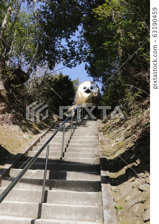日本三條神社的日本最好的貓頭鷹 63190459