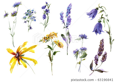 Collection Hand drawing watercolor summer flowers and herbs romanric rustic bouquet. ornament Collection Hand drawing watercolor summer flowers and herbs romanric rustic bouquet. ornament 63190841
