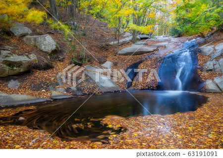 Nice beech forest in autumn in Spain with a small 63191091