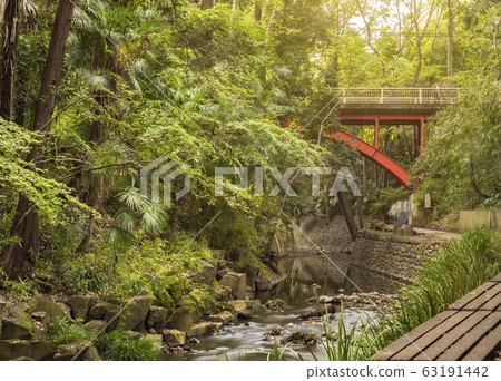 [Tokyo / Setagaya] Red railway bridge standing in the green Todoroki Valley Park 63191442
