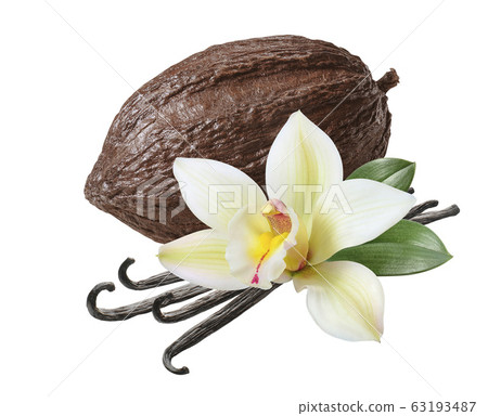 Cocoa pod and vanilla beans with flower isolated on white background 63193487