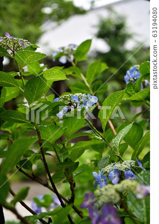 City view Tokyo Hino City Rainy season 63194080