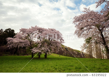 Seosan Yongji Spring Seosan Yongji Spring 63195022