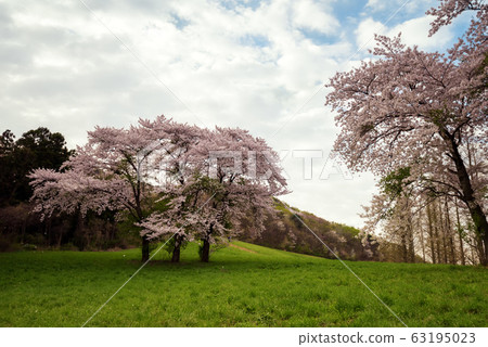 瑞山永濟春天 63195023