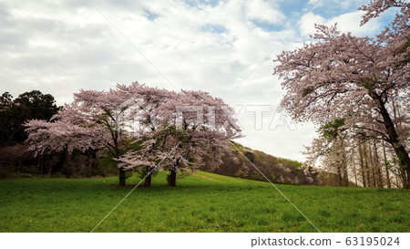 瑞山永濟春天 瑞山永濟春天 63195024