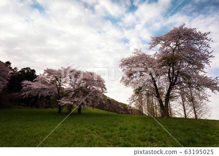 Seosan Yongji Spring Seosan Yongji Spring 63195025