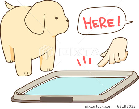 金毛小狗（訓練廁所） 63195032