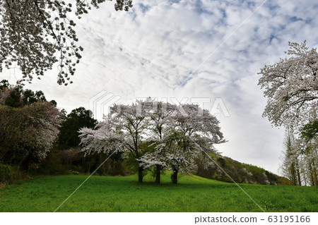 瑞山永濟春天 63195166