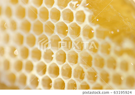 Honeycomb with liquid honey 63195924