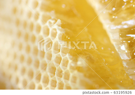 Honeycomb with liquid honey 63195926