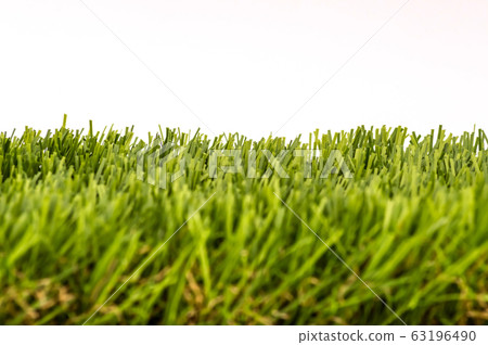 Fresh green grass isolated Fresh green grass isolated 63196490