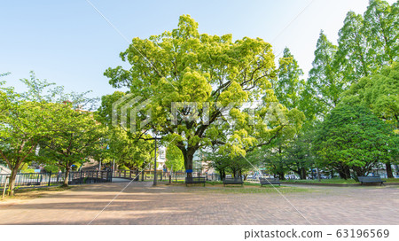 Atomic Bomb Hypocenter Park 63196569