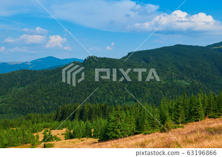 wild nature, summer landscape in carpathian wild nature, summer landscape in carpathian 63196866