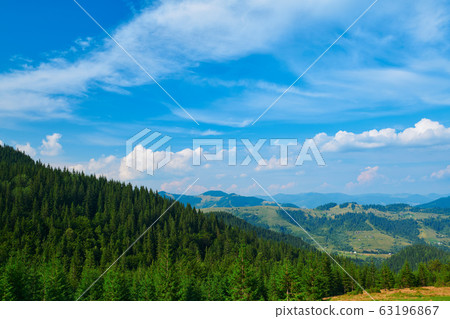 wild nature, summer landscape in carpathian wild nature, summer landscape in carpathian 63196867