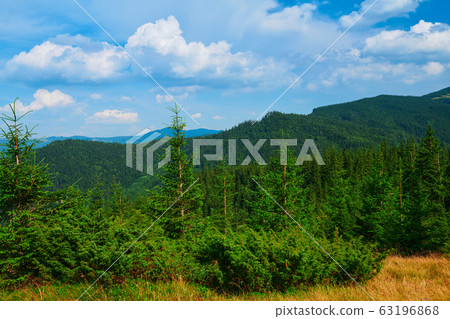 wild nature, summer landscape in carpathian wild nature, summer landscape in carpathian 63196868