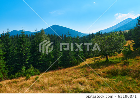 wild nature, summer landscape in carpathian wild nature, summer landscape in carpathian 63196871