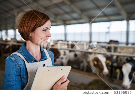 Woman manager with clipboard working on diary farm, agriculture industry. 63196955