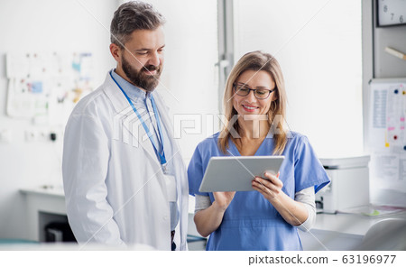 A dentist with dental assistant in modern dental surgery, working. A dentist with dental assistant in modern dental surgery, working. 63196977