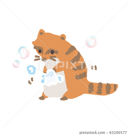 washing one's hand, racoon, prevention 63200577