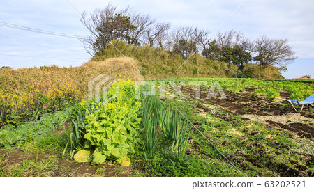 Field (spring) 63202521