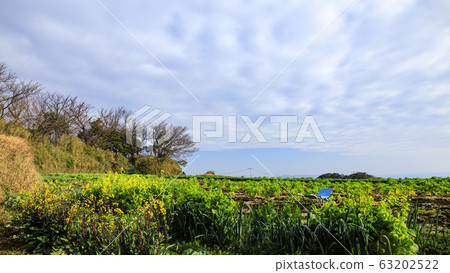 Field (spring) 63202522