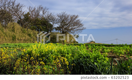 Field (spring) 63202523