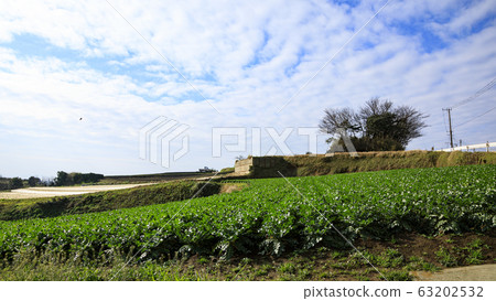 Field (spring) Field (spring) 63202532