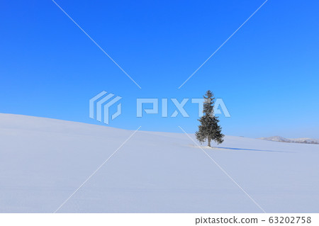 聖誕樹冬天 聖誕樹冬天 63202758