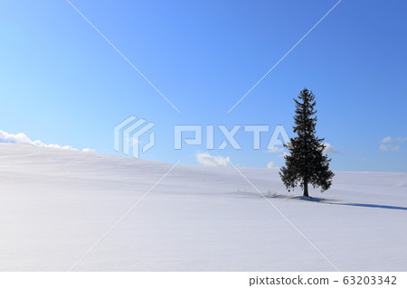 聖誕樹冬天 63203342