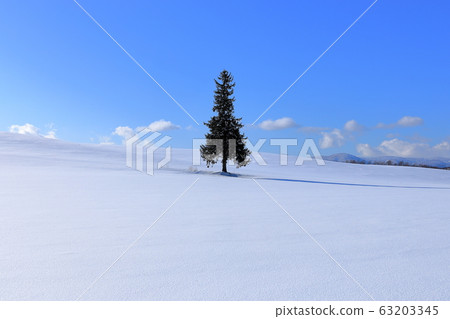 聖誕樹冬天 63203345