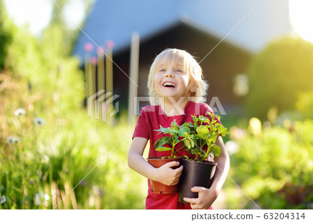 Little boy holding seedling in plastic pots Little boy holding seedling in plastic pots 63204314