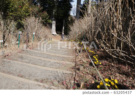 三條神社/福O路的福壽莊 63205437