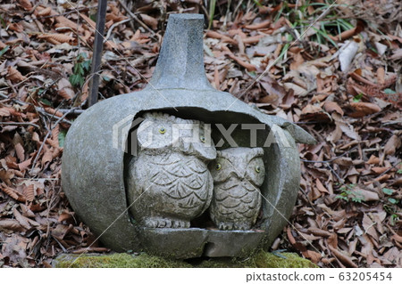 Pumpkin Owl Statue at Washiko Sanjo Shrine / Fuku Owl Road 63205454