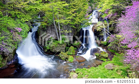 杜鵑花盛開的龍珠瀑布 63205511