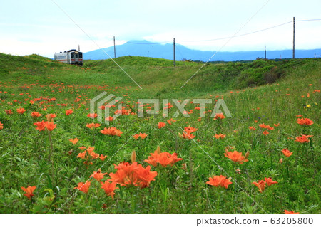 Koshimizu Wild Flower Garden and Kusami Line 63205800