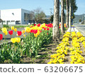 Spring flower bed 63206675