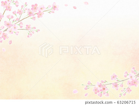 Cherry blossoms in full bloom Sakuraguki Somei Yoshino spring frame Cherry blossoms in full bloom Sakuraguki Somei Yoshino spring frame 63206715