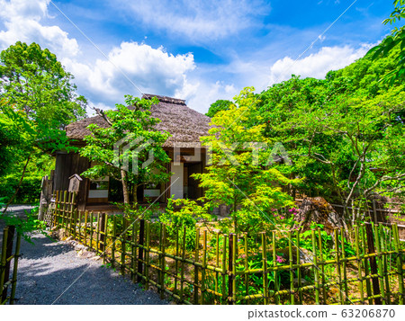 The shrine of a falling persimmon 63206870