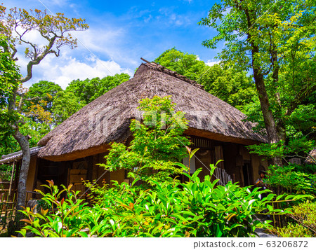 Home of the Fall 63206872