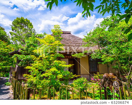 The shrine of a falling persimmon 63206874