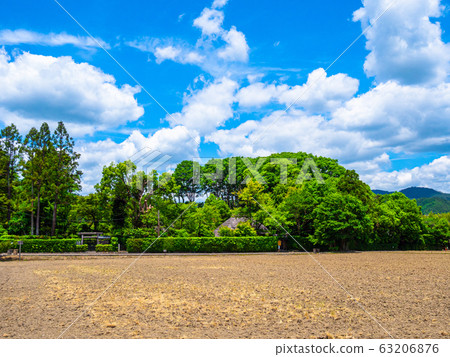 Fresh green of Rakikansha Fresh green of Rakikansha 63206876