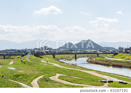 Rape blossoms and Chikushi (Mount Bota) from the riverbeds of the Onga River (Iizuka City, Fukuoka Prefecture) 63207191
