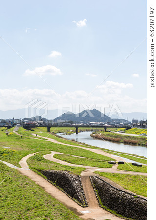 Rape blossoms and Chikushi (Mount Bota) from the riverbeds of the Onga River (Iizuka City, Fukuoka Prefecture) 63207197